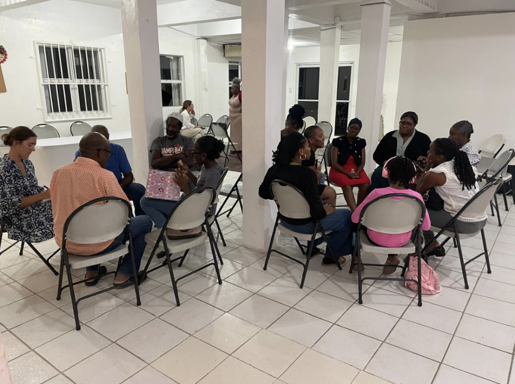 Low turnout at public consultations on BVI healthcare reform